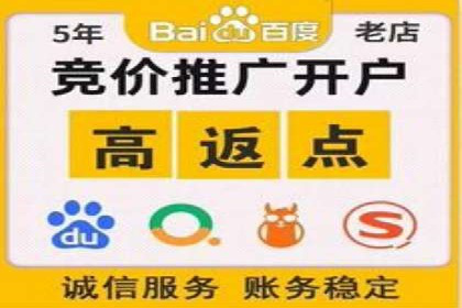 SEM托管公司案例：优化与增长